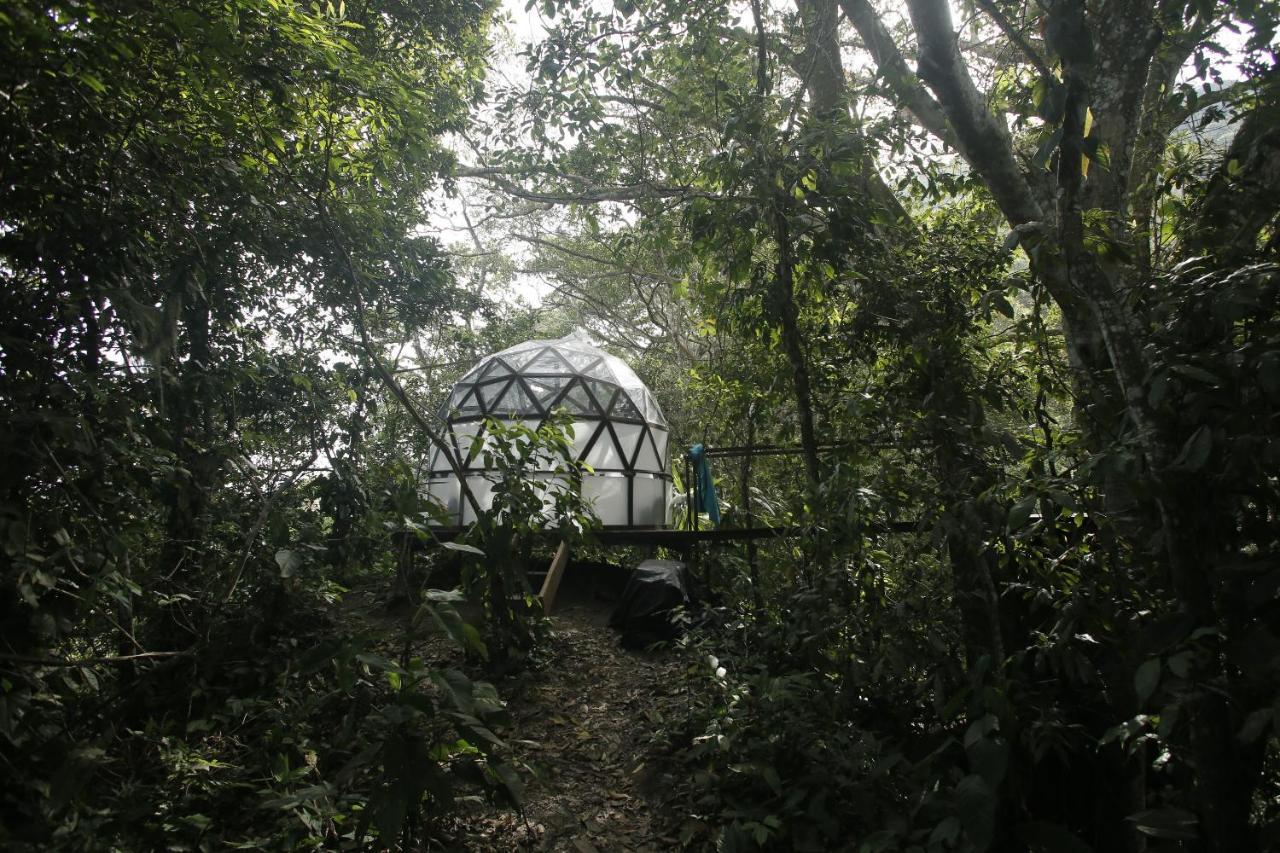 Taorayina Nature Lodge- Immersed In The Forest Zaino Kültér fotó