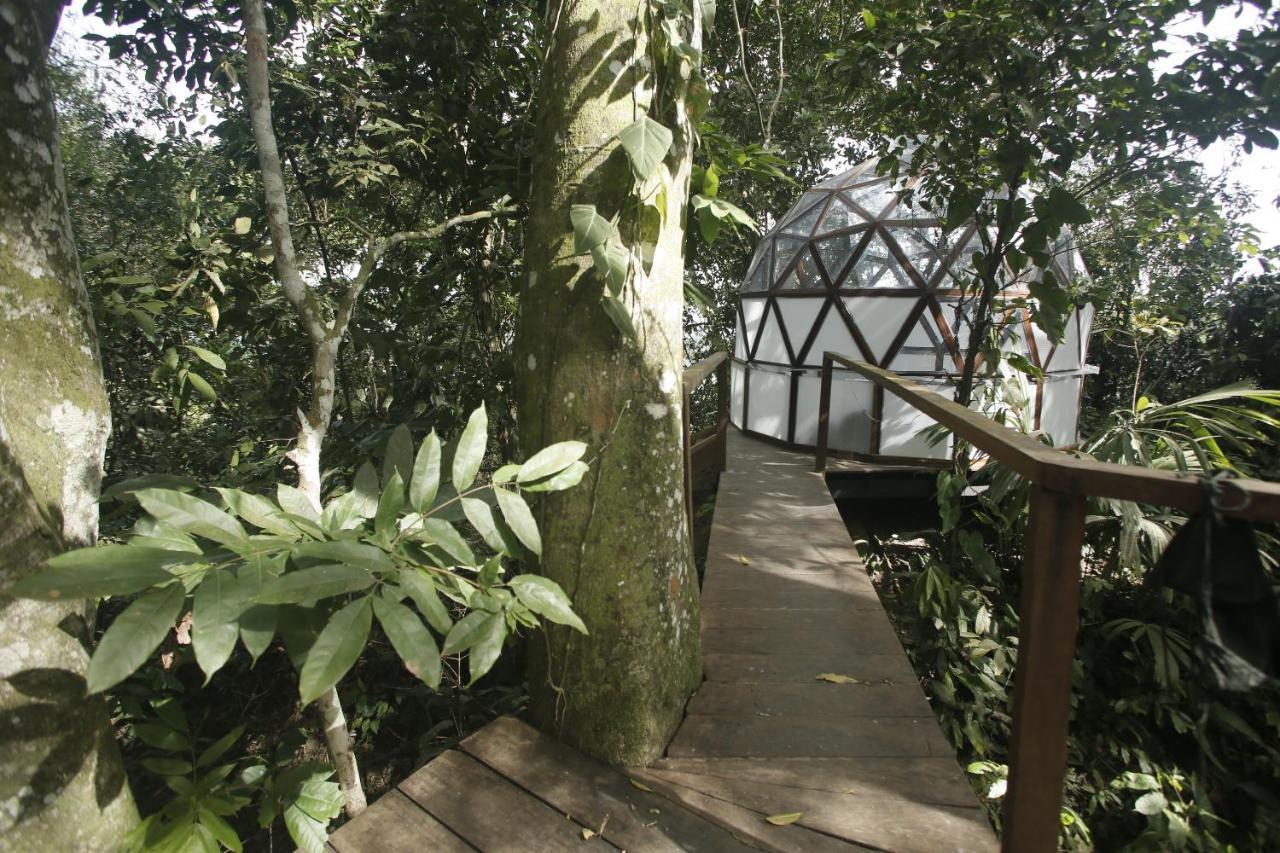 Taorayina Nature Lodge- Immersed In The Forest Zaino Kültér fotó